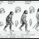 アウストラロピテクスはなぜ進化したのか。